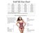 Falbala Bikinis Bottom Print Color Brazilian Bikini Bottom Swimwear High Carousel 8