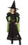 CHILD GIRLS WIZARD OZ WICKED WITCH OF THE WEST FANCY DRESS HALLOWEEN COSTUME Carousel 1