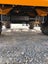 Thwaites Dumper Carousel 6
