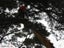 Stump grinding, Tree removal and pruning Carousel 17
