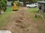 Stump grinding, Tree removal and pruning Carousel 13
