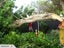 Stump grinding, Tree removal and pruning Carousel 12