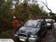 Stump grinding, Tree removal and pruning Carousel 11