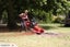 Stump grinding, Tree removal and pruning Carousel 8