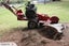 Stump grinding, Tree removal and pruning Carousel 7