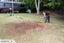 Stump grinding, Tree removal and pruning Carousel 4