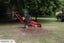 Stump grinding, Tree removal and pruning Carousel 1