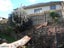 Stump grinding, Tree removal and pruning Carousel 3