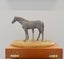 Limited Edition Bronze Sculpture Champion Sire Horse Tavistock by NZ Artist Carousel 8