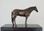 Limited Edition Bronze Sculpture Champion Sire Horse Tavistock by NZ Artist Carousel 4