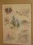 Val Tubman - Scenes of Waihi - Large montage of Waihi Area scenes original art Carousel 4