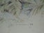 Val Tubman - Scenes of Waihi - Large montage of Waihi Area scenes original art Carousel 14