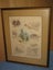 Val Tubman - Scenes of Waihi - Large montage of Waihi Area scenes original art Carousel 16
