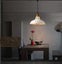 pendant light Creative loft warehouse industry lamp shade Carousel 3