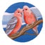 Country Threads Long Stitch Kit Galahs Inc Threads Carousel 1