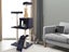 Cat Tree Carousel 7