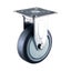 Caster Stainless Steel Fixed TPR 100mm 100kg Carousel 1