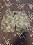 Boys Shorts - 2 pairs Carousel 2