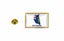 Loading Image 1 of 1