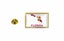 pins pin's flag national badge map hat country usa state florida Carousel 1