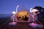 Glamping Consultation and Tent Manufacture Carousel 1