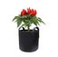 Garden Plant Fabric Grow BagsPlant Grow Bags New New Carousel 3