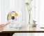 CD Player Wall Mount Home DVD Player Bluetooth English Learning Carousel 3