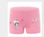 2Pcs Girls' Shorts Panties Briefs Underwear Toddler Assorted Color & Design Carousel 1