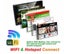 gallery view thumbnail