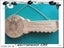 21st KEY SOLID MACROCARPA UNIQUE DESIGNS PERSONALISED Carousel 5