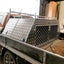 Dog Boxes, Toolboxes, Carousel 4