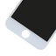 iPhone 6s OEM screen - White Carousel 5