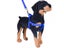 Nylon Pet Dog Harness No Pull Adjustable Dog Leash Vest Classic Running Leash Carousel 4