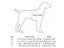 Nylon Pet Dog Harness No Pull Adjustable Dog Leash Vest Classic Running Leash Carousel 6