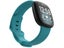 Fitbit Sense Strap Band L Carousel 4