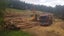 - Firewood & Logging - Carousel 9