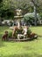 Pedigree Cavalier King Charles Spaniels Carousel 5