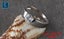Promise Diamond Ring White Gold Ring Jewellery *Local STOCK NOW* Carousel 3