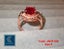 Brand New Oval Ruby Diamond Ring Rose Gold Ring Jewellery *Sale NOW* Carousel 2