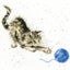 Bothy Threads Cross Stitch Kit - Kitty Carousel 1