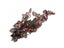 1PC 50cm Reptile Habitat Vivarium Decor With Artificial Vine Carousel 6