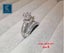 2Pcs Promise Diamond Rings White Gold Ring Jewellery *Local Clearance* Carousel 2
