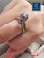 Brand New Pearl Ring 925 Silver Ring Simple Design Jewellery *Clearance* Carousel 1