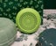 Mini Portable UVC Sterilizer Air Purifier Carousel 3