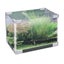 JAD Aquarium Glass Tank - XSmall Carousel 1