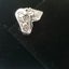 STG SILVER SKULL and Skeleton Carousel 3