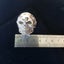 STG SILVER SKULL and Skeleton Carousel 8
