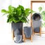 Indoor Plant Pot New Carousel 7