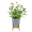 Indoor Plant Pot New Carousel 8