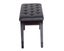 Piano Bench Carousel 4